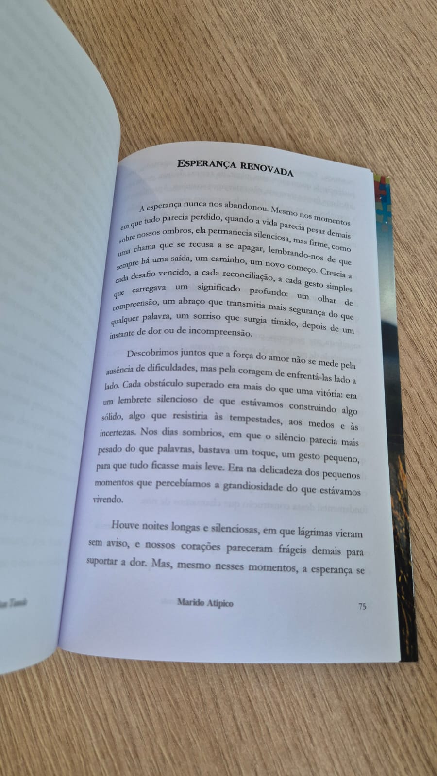 Capa do livro Paz que Excede